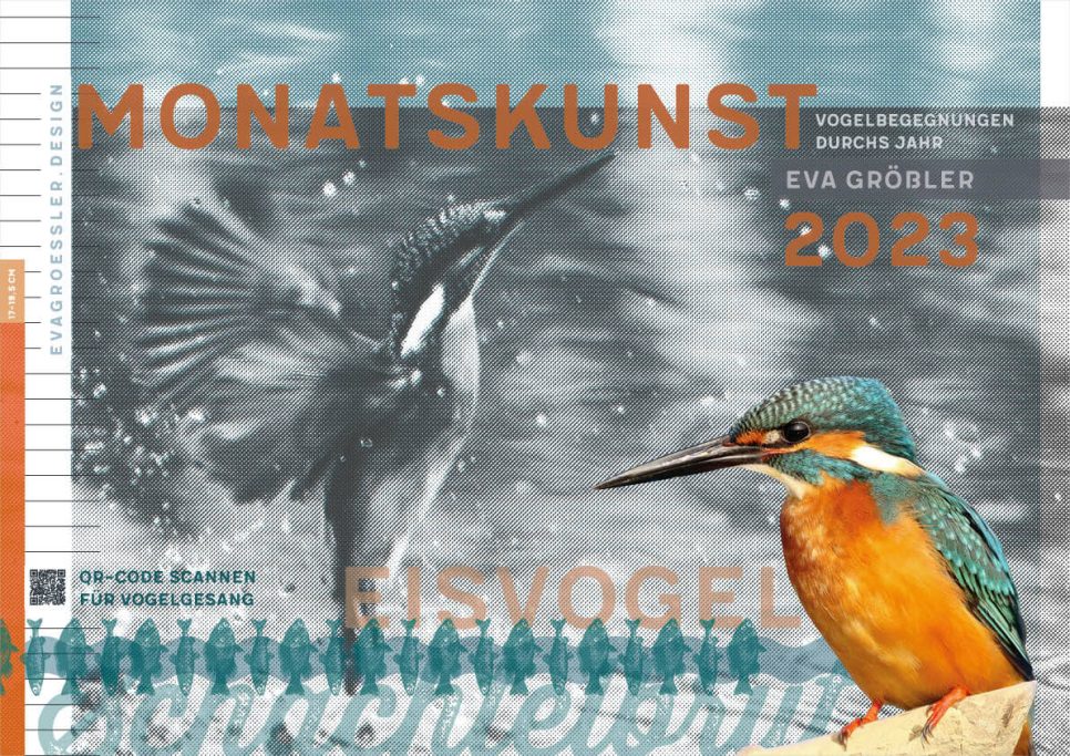 Eisvogel